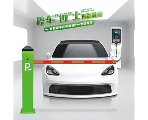 潍坊RG-CW系列车位小道闸